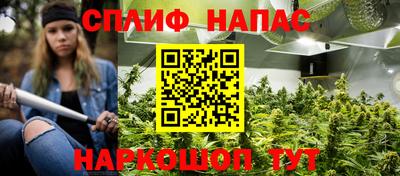 сатива Камышлов
