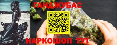сатива Камышлов